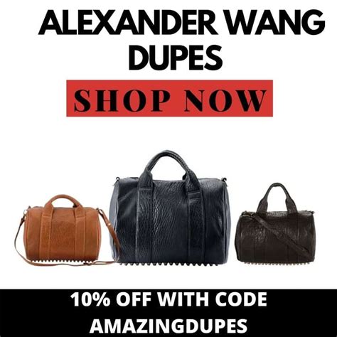 The Best Alexander Wang Bag Dupes (Where to Find Them)